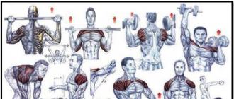 Упражнения на плечи в домашних условиях Программа тренировок с уклоном на плечи